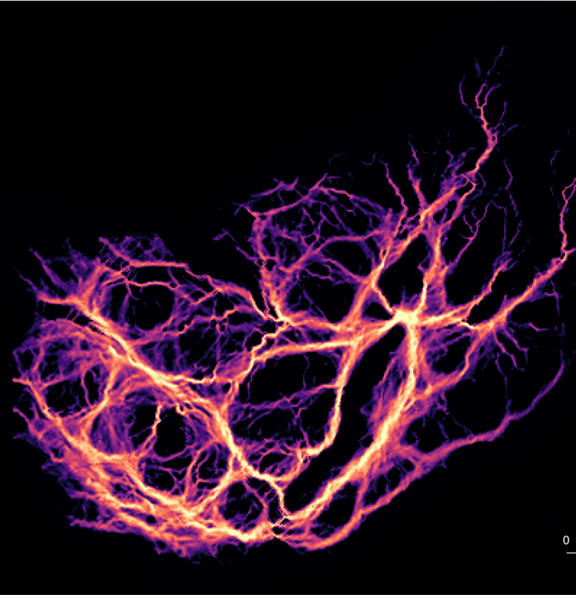 Use Connectivity Maps for sustainable land planning