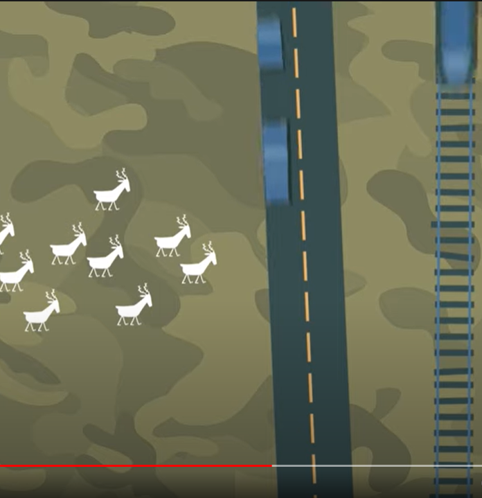 Understand the need for Connectivity Conservation