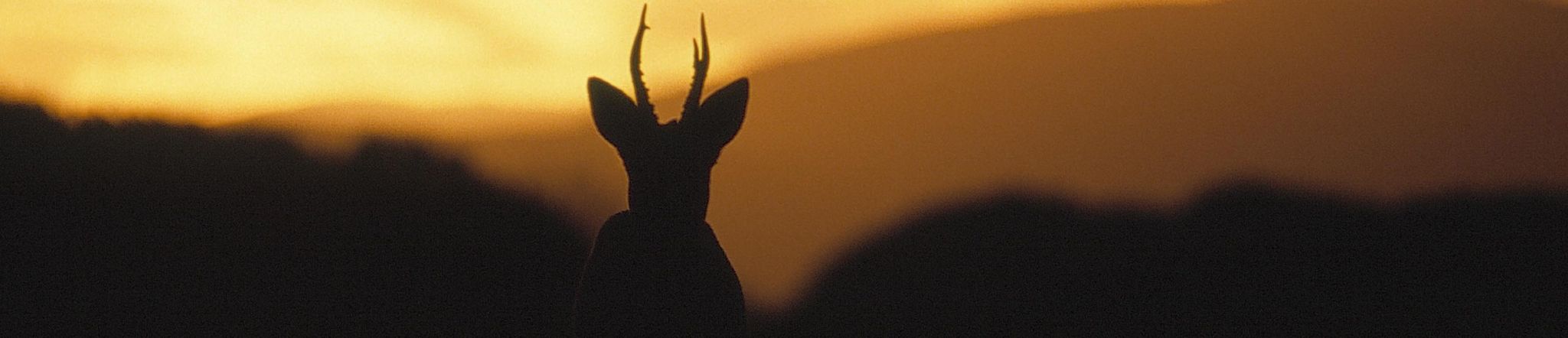 Connecting Nature with Land Planning